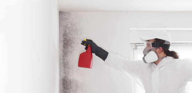 Best Mold Cleaning Services  in Saint John Fisher College, NY