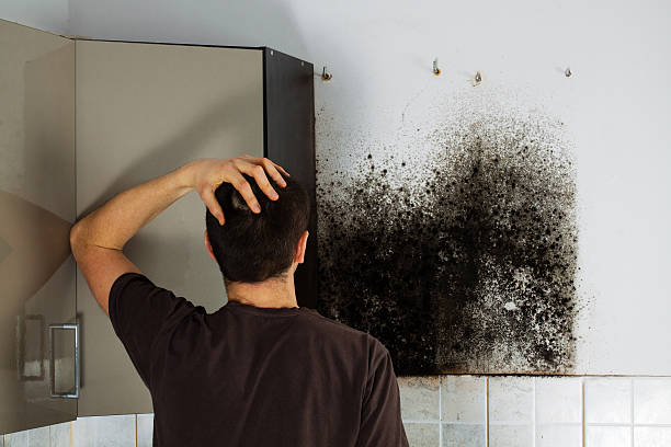 Best Emergency Mold Removal  in Saint John Fisher College, NY
